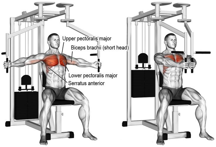 CHEST FLY MACHINE